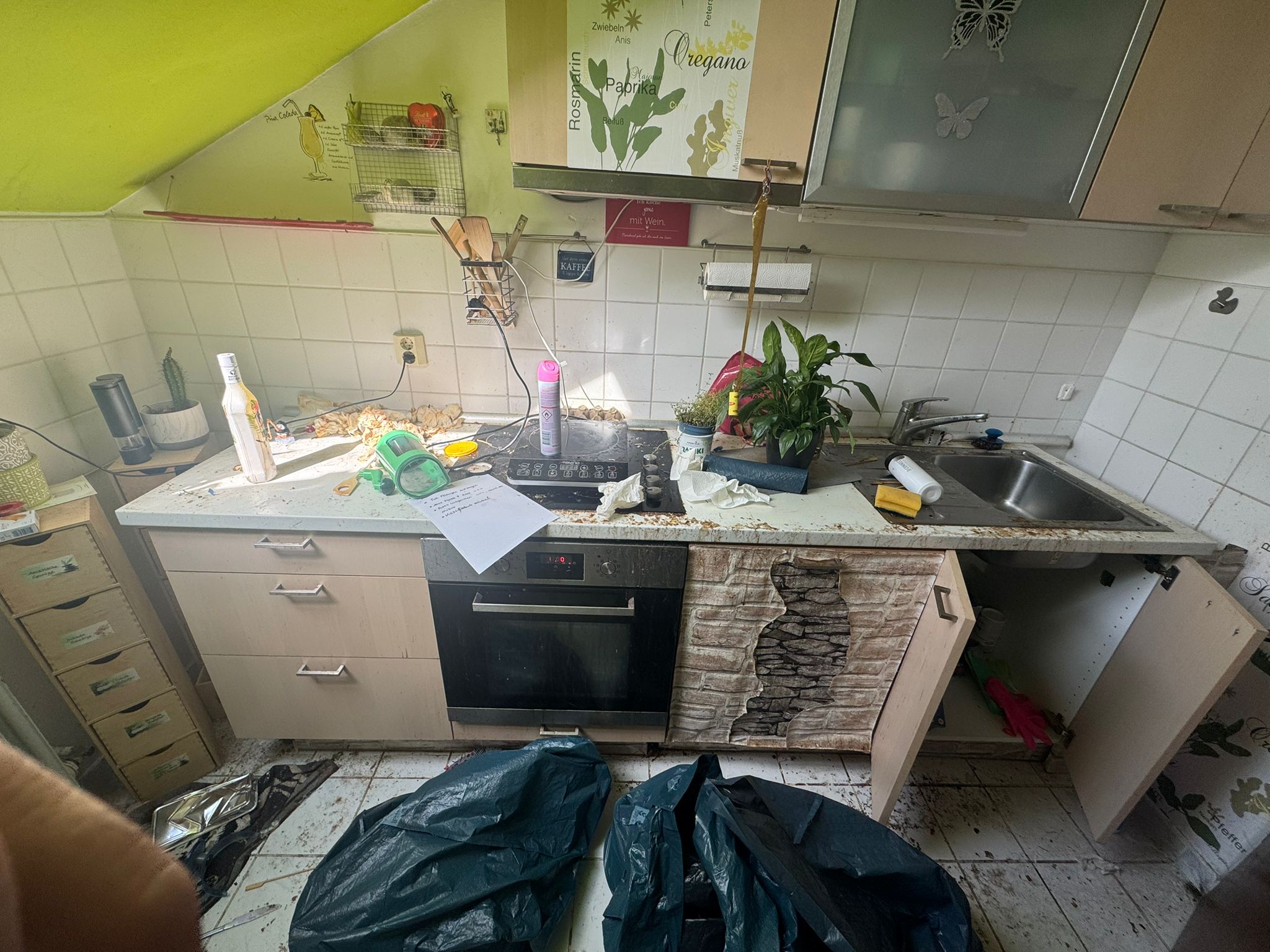 WhatsApp Image 2025-09-01 at 20.54.34 (3)